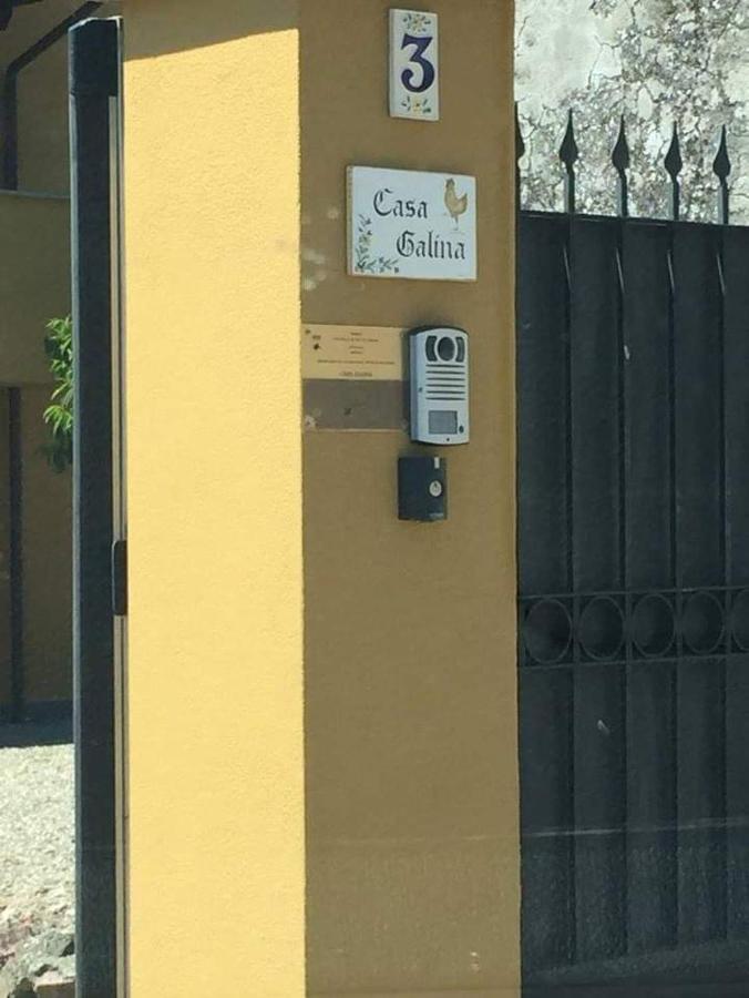 Casa Galina Villa Ciggiano Eksteriør bilde